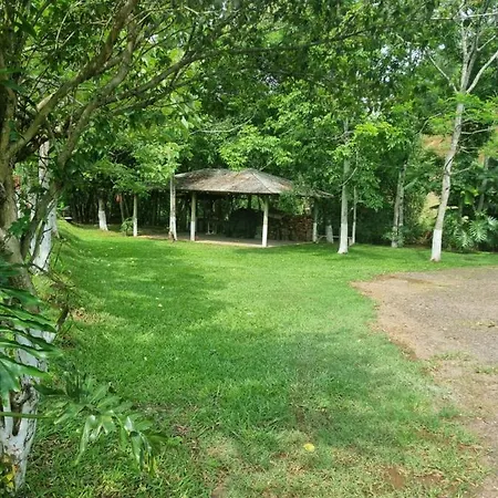 Sitio Recanto Nativo Palmitos Exterior photo