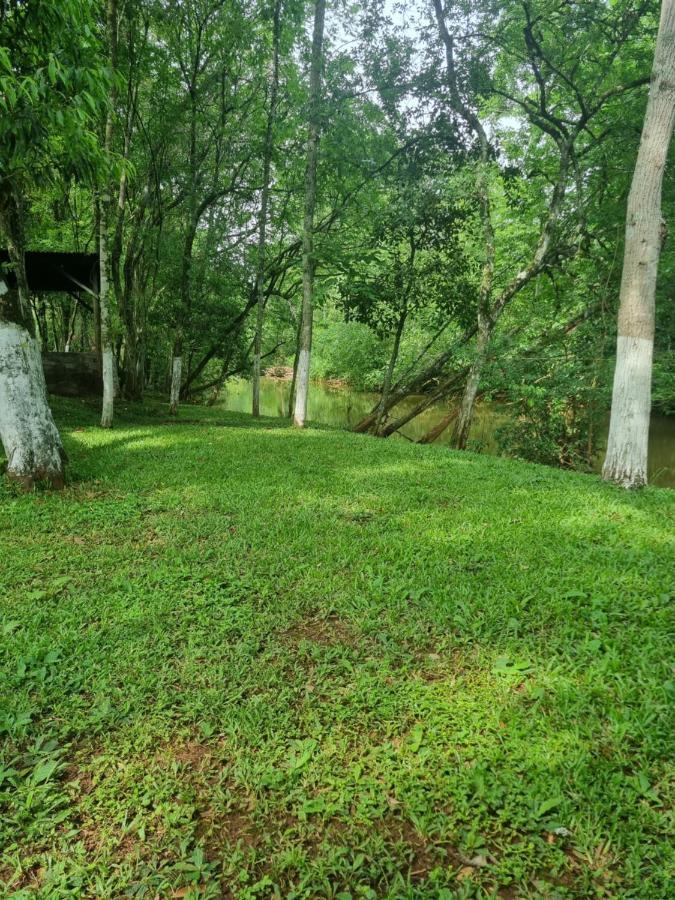 Sitio Recanto Nativo Campsite